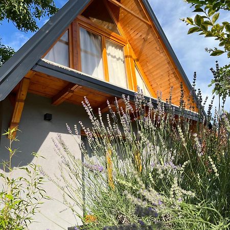 Petrovaradin Chalet 诺威萨 外观 照片