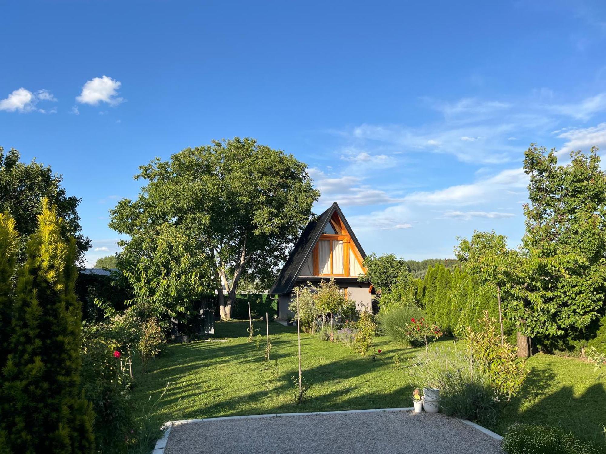 Petrovaradin Chalet 诺威萨 外观 照片