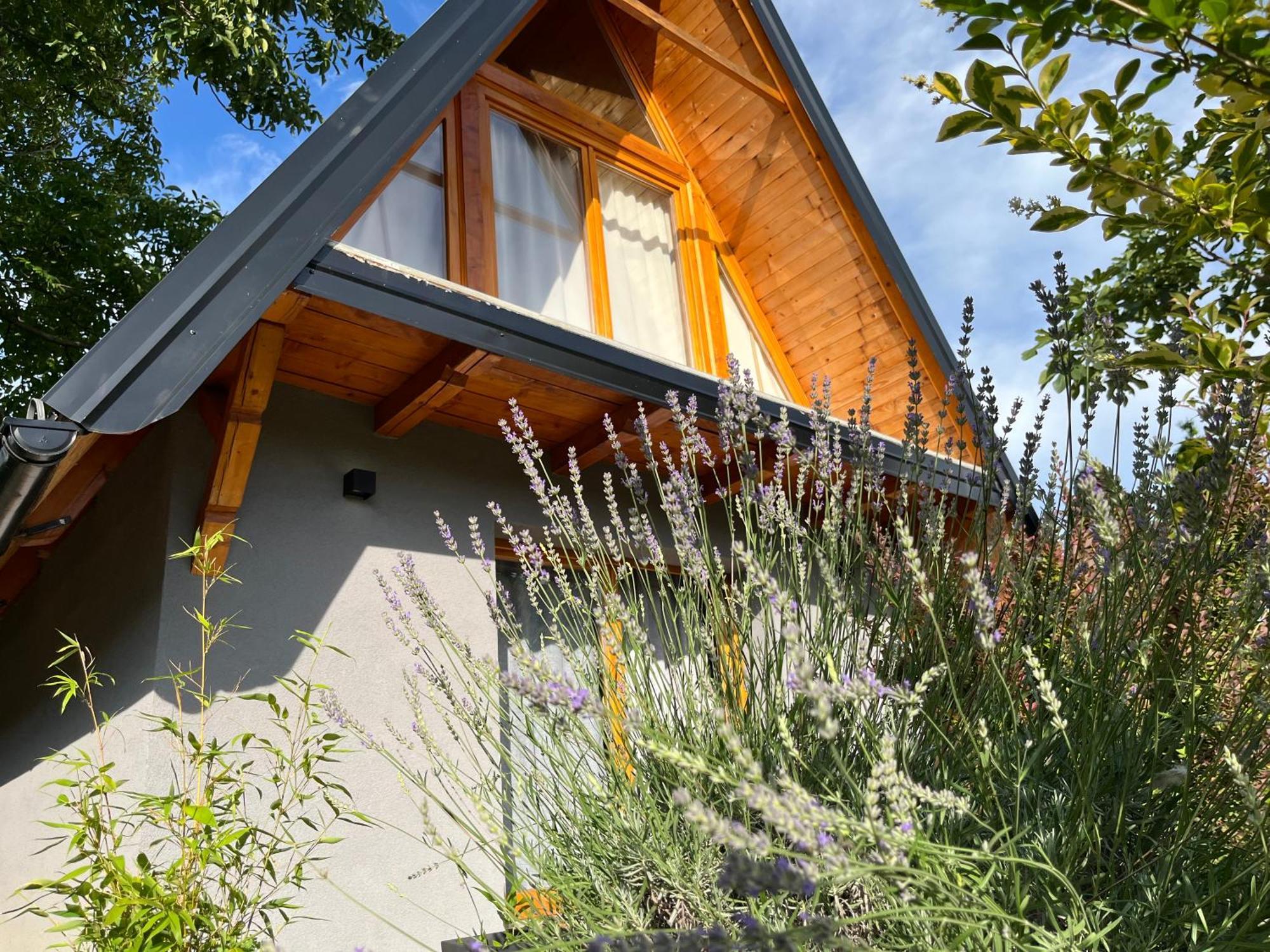 Petrovaradin Chalet 诺威萨 外观 照片